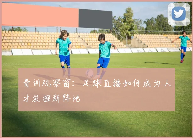 青训观察窗：足球直播如何成为人才发掘新阵地