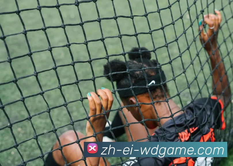 问鼎娱乐品牌故事